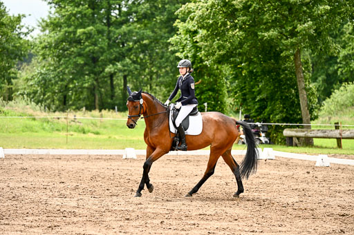 Goldene Schärpe Pferfde in Löningen 2026 | 12062026Dressur B _0538 