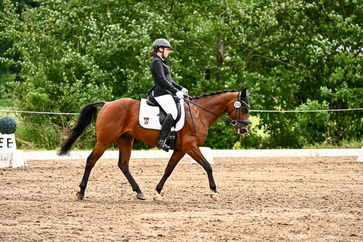 Goldene Schärpe Pferfde in Löningen 2026 | 12062026Dressur B _0540 