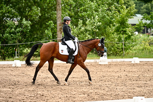 Goldene Schärpe Pferfde in Löningen 2026 | 12062026Dressur B _0542 