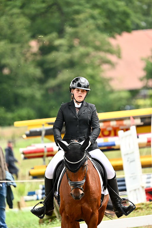 Goldene Schärpe Pferfde in Löningen 2026 | 12062026Dressur B _0543 