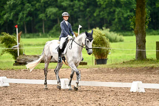 Goldene Schärpe Pferfde in Löningen 2026 | 12062026Dressur B _0548 