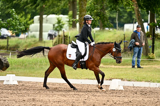 Goldene Schärpe Pferfde in Löningen 2026 | 12062026Dressur B _0550 