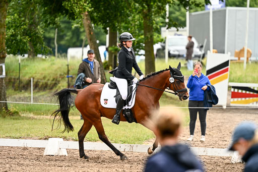 Goldene Schärpe Pferfde in Löningen 2026 | 12062026Dressur B _0552 