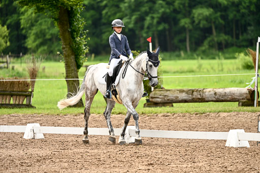 Goldene Schärpe Pferfde in Löningen 2026 | 12062026Dressur B _0553 