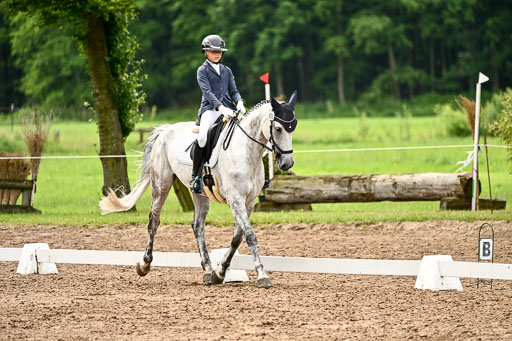 Goldene Schärpe Pferfde in Löningen 2026 | 12062026Dressur B _0554 