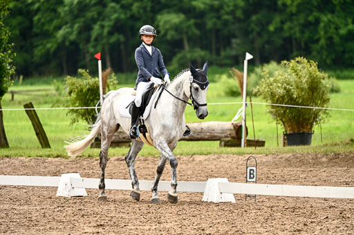 Goldene Schärpe Pferfde in Löningen 2026 | 12062026Dressur B _0555 