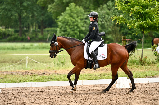 Goldene Schärpe Pferfde in Löningen 2026 | 12062026Dressur B _0556 