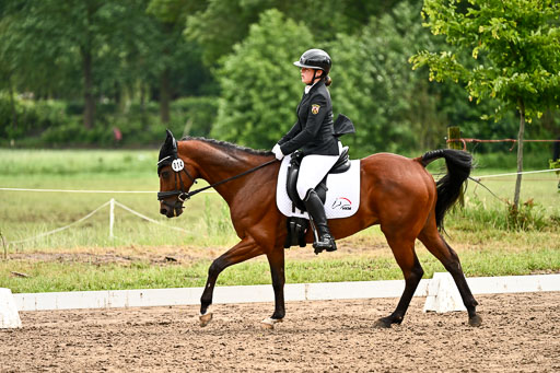 Goldene Schärpe Pferfde in Löningen 2026 | 12062026Dressur B _0557 