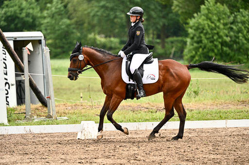 Goldene Schärpe Pferfde in Löningen 2026 | 12062026Dressur B _0558 