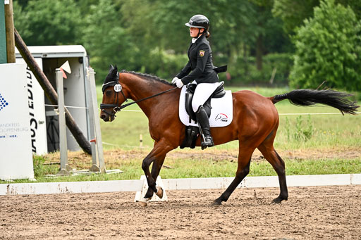 Goldene Schärpe Pferfde in Löningen 2026 | 12062026Dressur B _0559 