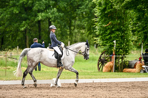 Goldene Schärpe Pferfde in Löningen 2026 | 12062026Dressur B _0561 