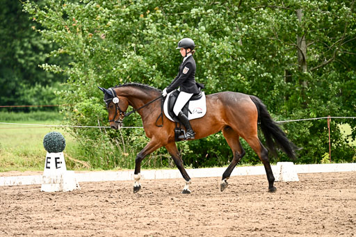 Goldene Schärpe Pferfde in Löningen 2026 | 12062026Dressur B _0563 