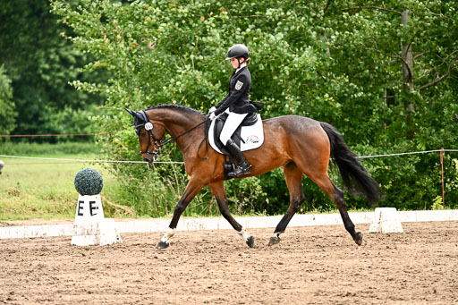 Goldene Schärpe Pferfde in Löningen 2026 | 12062026Dressur B _0564 