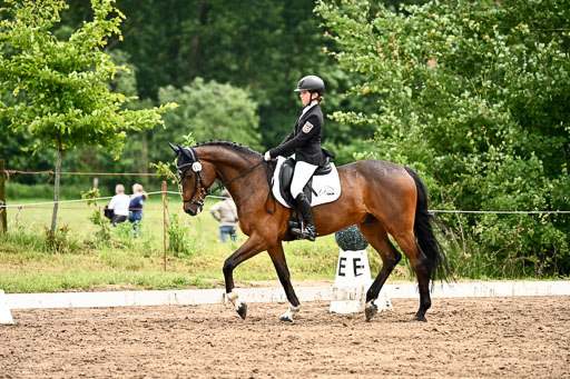 Goldene Schärpe Pferfde in Löningen 2026 | 12062026Dressur B _0565 