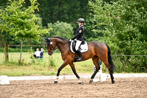 Goldene Schärpe Pferfde in Löningen 2026 | 12062026Dressur B _0566 