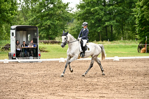 Goldene Schärpe Pferfde in Löningen 2026 | 12062026Dressur B _0568 