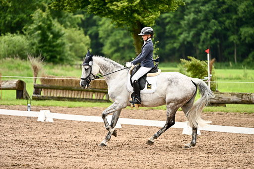 Goldene Schärpe Pferfde in Löningen 2026 | 12062026Dressur B _0569 