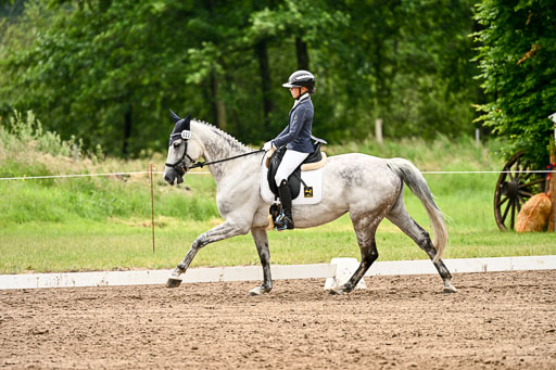 Goldene Schärpe Pferfde in Löningen 2026 | 12062026Dressur B _0572 