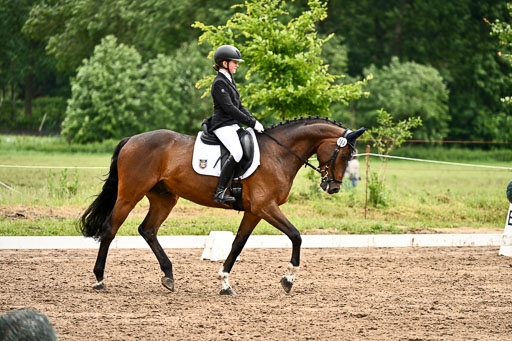 Goldene Schärpe Pferfde in Löningen 2026 | 12062026Dressur B _0573 