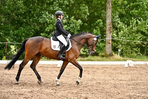 Goldene Schärpe Pferfde in Löningen 2026 | 12062026Dressur B _0574 