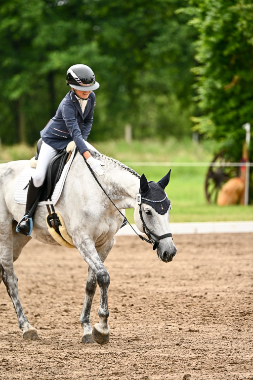Goldene Schärpe Pferfde in Löningen 2026 | 12062026Dressur B _0575 