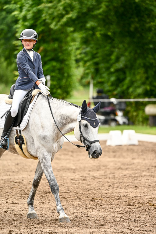 Goldene Schärpe Pferfde in Löningen 2026 | 12062026Dressur B _0577 