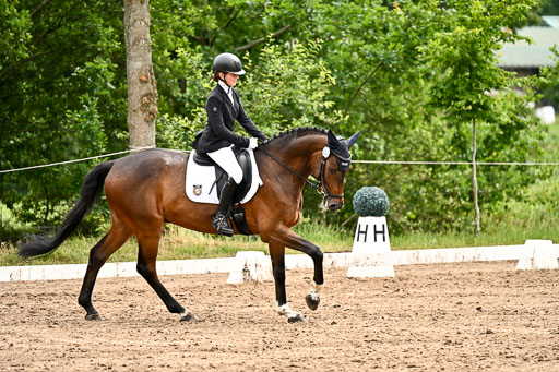 Goldene Schärpe Pferfde in Löningen 2026 | 12062026Dressur B _0582 