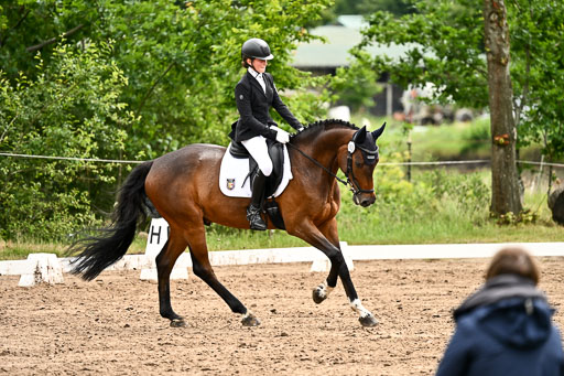 Goldene Schärpe Pferfde in Löningen 2026 | 12062026Dressur B _0583 