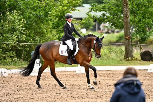 Goldene Schärpe Pferfde in Löningen 2026 | 12062026Dressur B _0584 