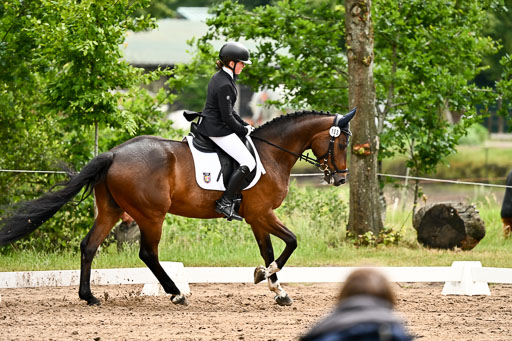 Goldene Schärpe Pferfde in Löningen 2026 | 12062026Dressur B _0586 