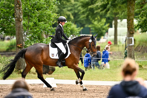 Goldene Schärpe Pferfde in Löningen 2026 | 12062026Dressur B _0587 