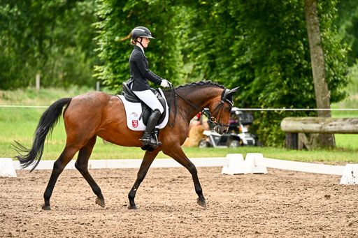 Goldene Schärpe Pferfde in Löningen 2026 | 12062026Dressur B _0588 