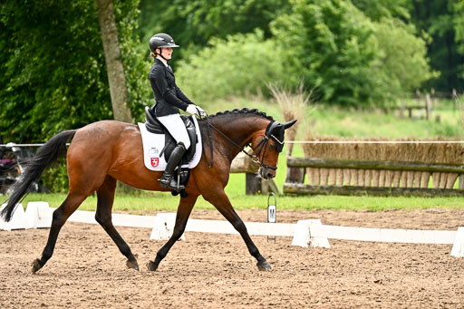 Goldene Schärpe Pferfde in Löningen 2026 | 12062026Dressur B _0589 