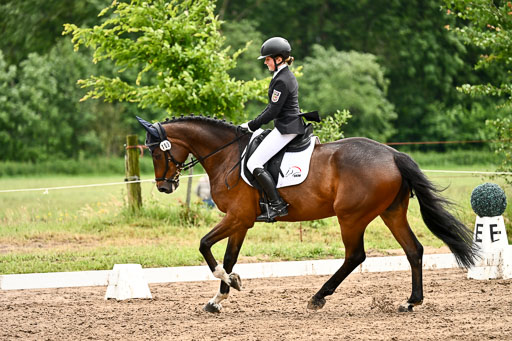 Goldene Schärpe Pferfde in Löningen 2026 | 12062026Dressur B _0590 