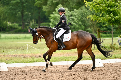Goldene Schärpe Pferfde in Löningen 2026 | 12062026Dressur B _0591 