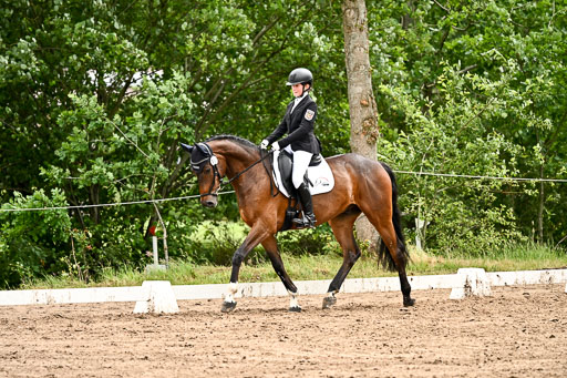 Goldene Schärpe Pferfde in Löningen 2026 | 12062026Dressur B _0592 