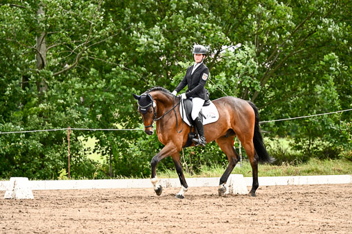 Goldene Schärpe Pferfde in Löningen 2026 | 12062026Dressur B _0593 