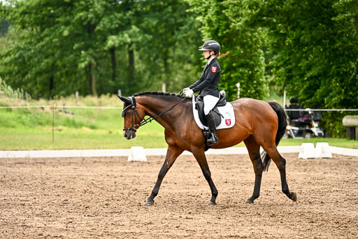 Goldene Schärpe Pferfde in Löningen 2026 | 12062026Dressur B _0594 