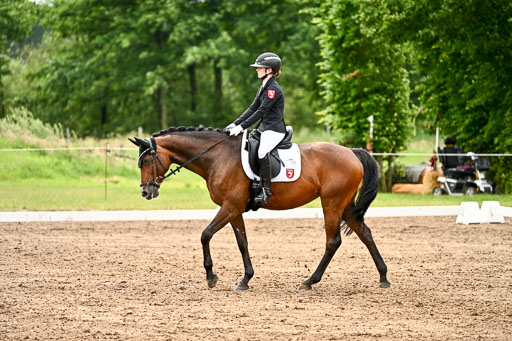 Goldene Schärpe Pferfde in Löningen 2026 | 12062026Dressur B _0595 