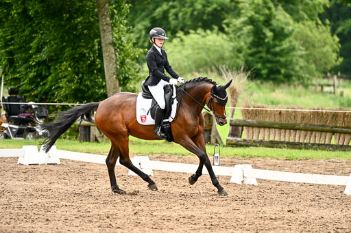 Goldene Schärpe Pferfde in Löningen 2026 | 12062026Dressur B _0598 