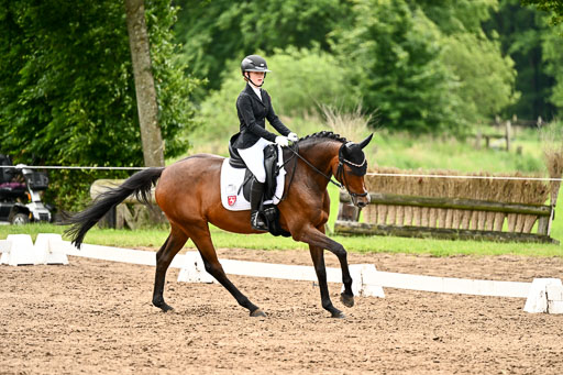 Goldene Schärpe Pferfde in Löningen 2026 | 12062026Dressur B _0599 
