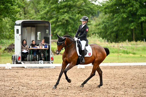 Goldene Schärpe Pferfde in Löningen 2026 | 12062026Dressur B _0601 