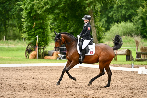 Goldene Schärpe Pferfde in Löningen 2026 | 12062026Dressur B _0603 