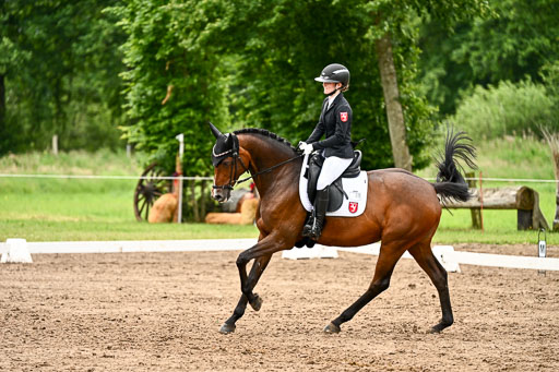 Goldene Schärpe Pferfde in Löningen 2026 | 12062026Dressur B _0604 