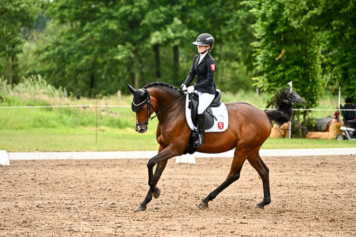 Goldene Schärpe Pferfde in Löningen 2026 | 12062026Dressur B _0605 