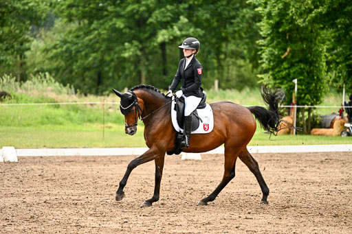 Goldene Schärpe Pferfde in Löningen 2026 | 12062026Dressur B _0606 