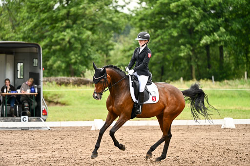 Goldene Schärpe Pferfde in Löningen 2026 | 12062026Dressur B _0607 