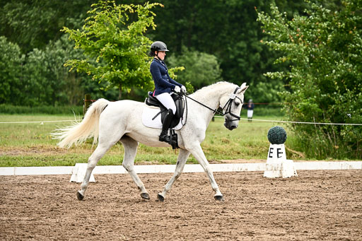 Goldene Schärpe Pferfde in Löningen 2026 | 12062026Dressur B _0610 