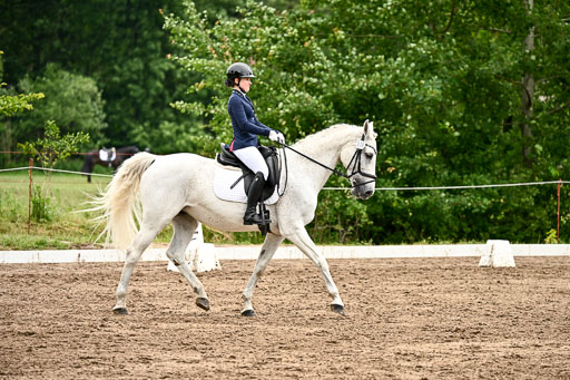 Goldene Schärpe Pferfde in Löningen 2026 | 12062026Dressur B _0611 