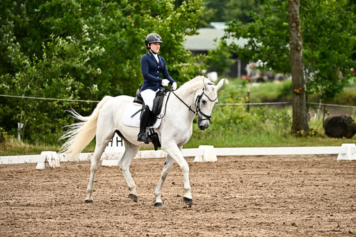 Goldene Schärpe Pferfde in Löningen 2026 | 12062026Dressur B _0614 